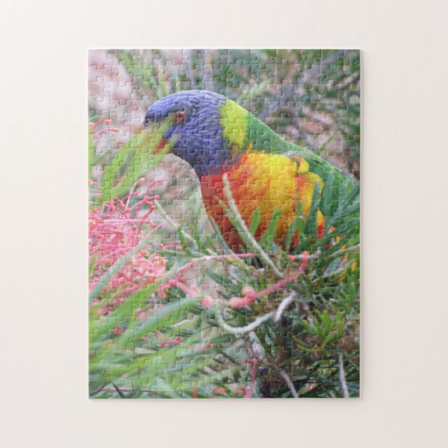 Rainbow Lorikeet Puzzle (Vertical)