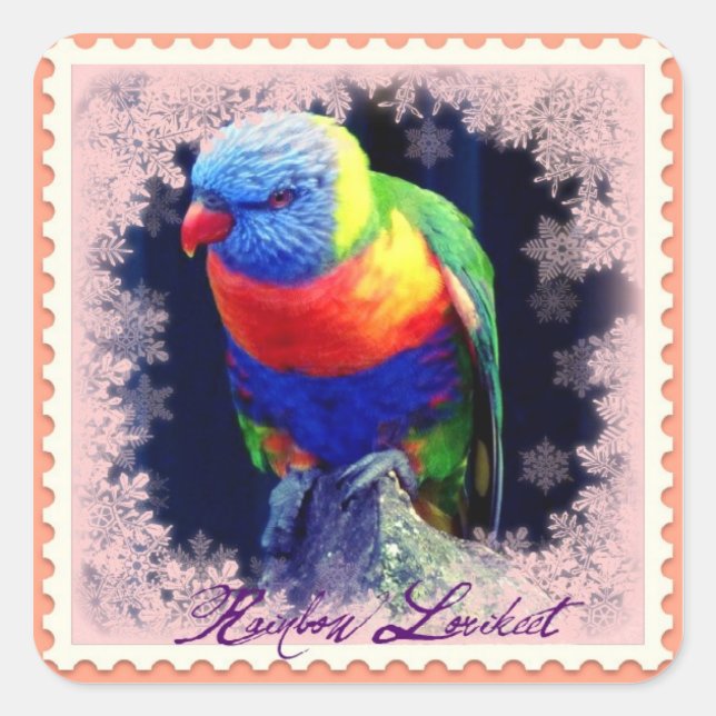 RAINBOW LORIKEET SQUARE STICKER (Front)
