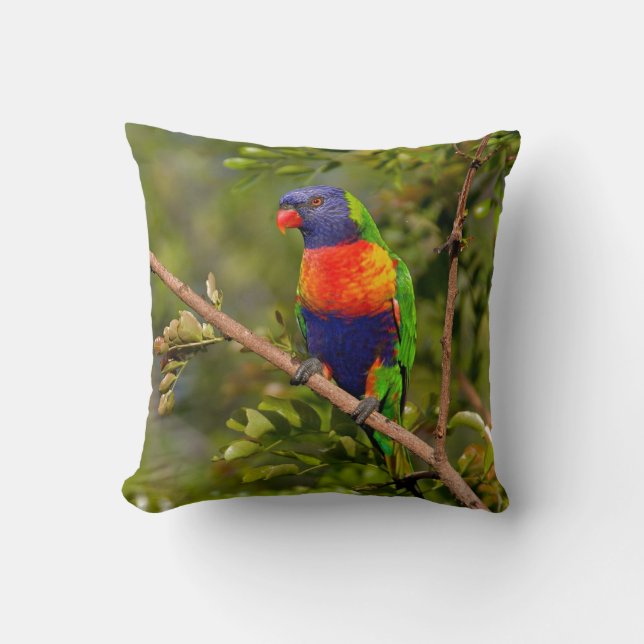 Rainbow Lorikeet Throw Pillow (Front)