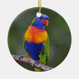 Rainbow Lorikeet Trichoglossus Haematodus Parrot Ceramic Ornament