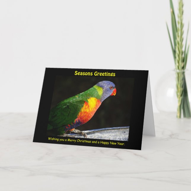 Rainbow Lorikeet Xmas Card (Front)