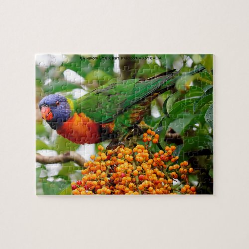 Rainbow Lorikeets Australia Jigsaw Puzzle