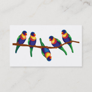Rainbow lorikeets business card