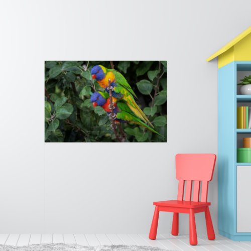 Rainbow Lorikeets colorful parrots Poster