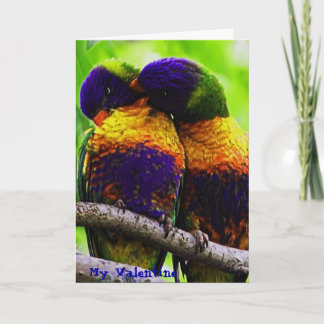 Rainbow Lorikeets, My Valentine Holiday Card