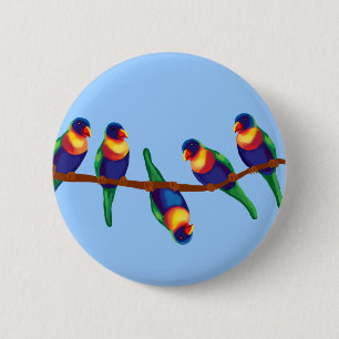 Rainbow lorikeets pinback button