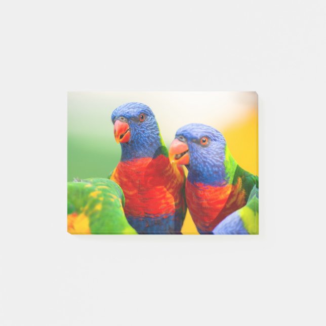 Rainbow lorikeets post-it notes (Front)