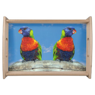 Rainbow lorikeets two perched on a branch serving tray