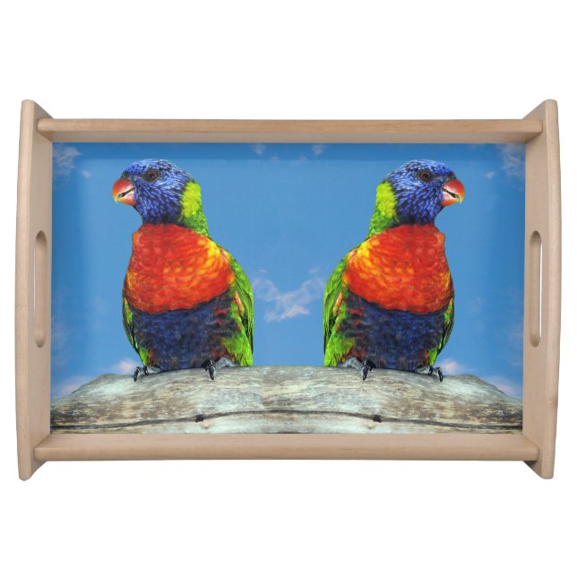 Rainbow lorikeets two perched on a branch serving tray (Front)