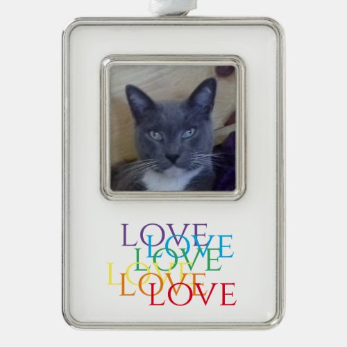 RAINBOW LOVE Vertical Framed Photo Ornament