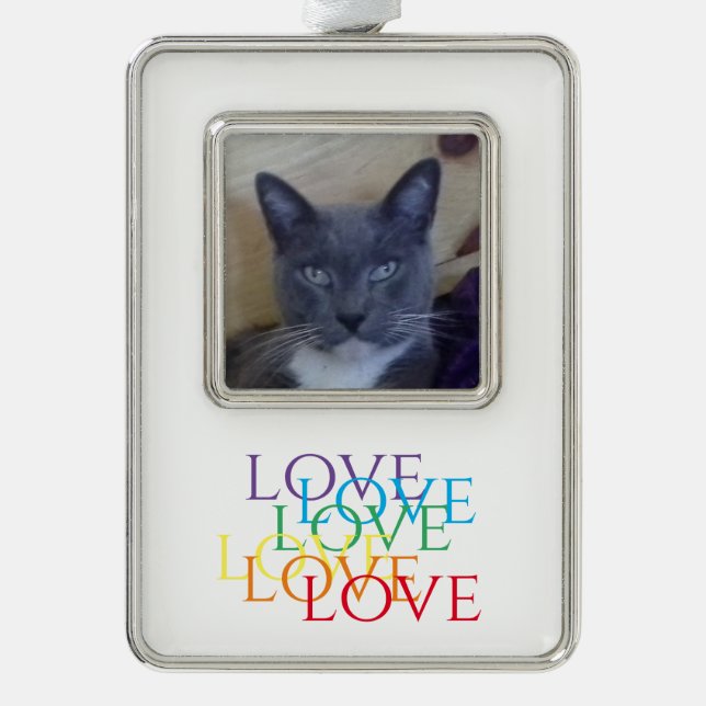 RAINBOW LOVE Vertical Framed Photo Ornament (Front)
