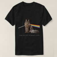 Rainbow Maine Coon Prism Art