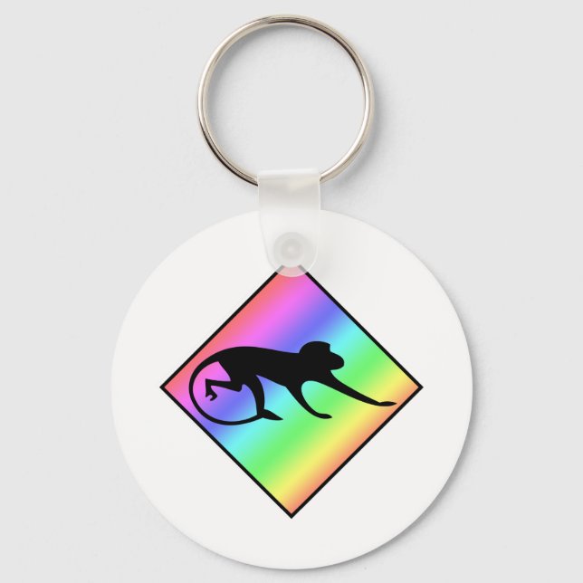 Rainbow Monkey Crossing Keychain (Front)