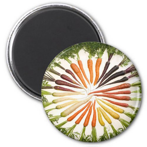 Rainbow Multicolored Carrots Magnet