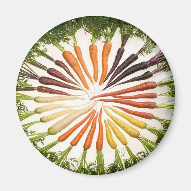 Rainbow Multicolored Carrots Magnet (Front)