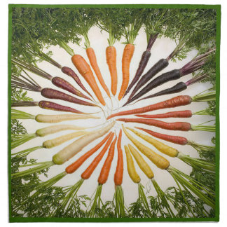 Rainbow Multicolored Carrots Napkins