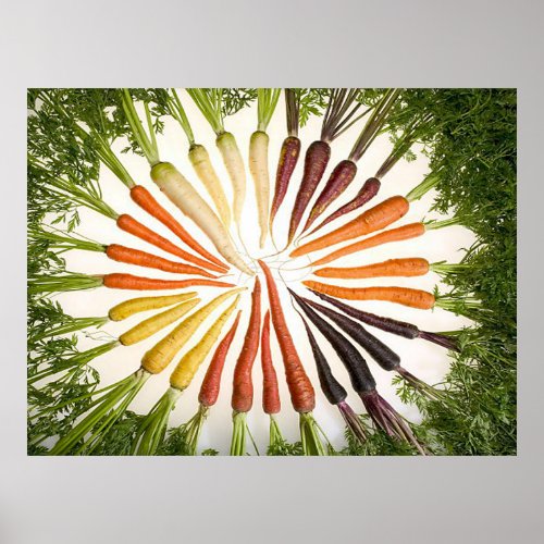 Rainbow Multicolored Carrots Rectangle Poster