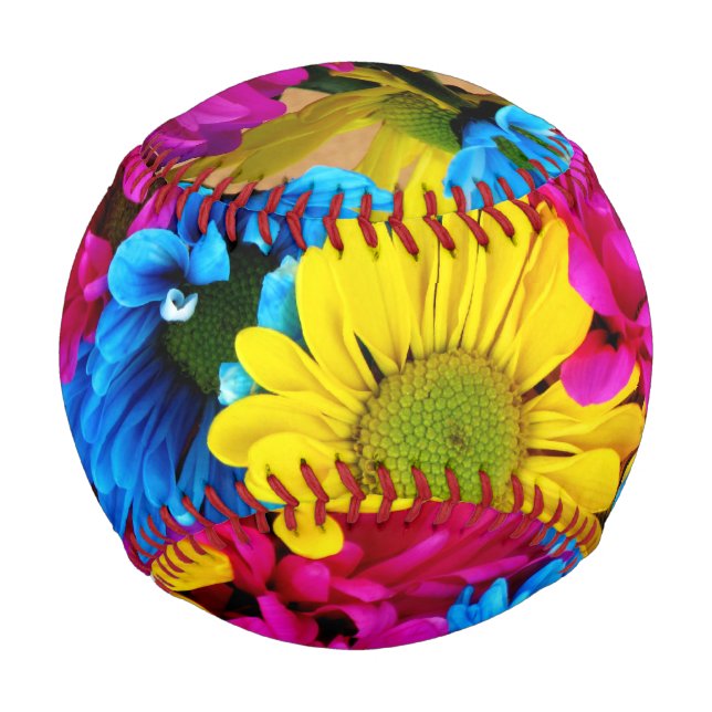 Rainbow of Daisies Baseball (Back)