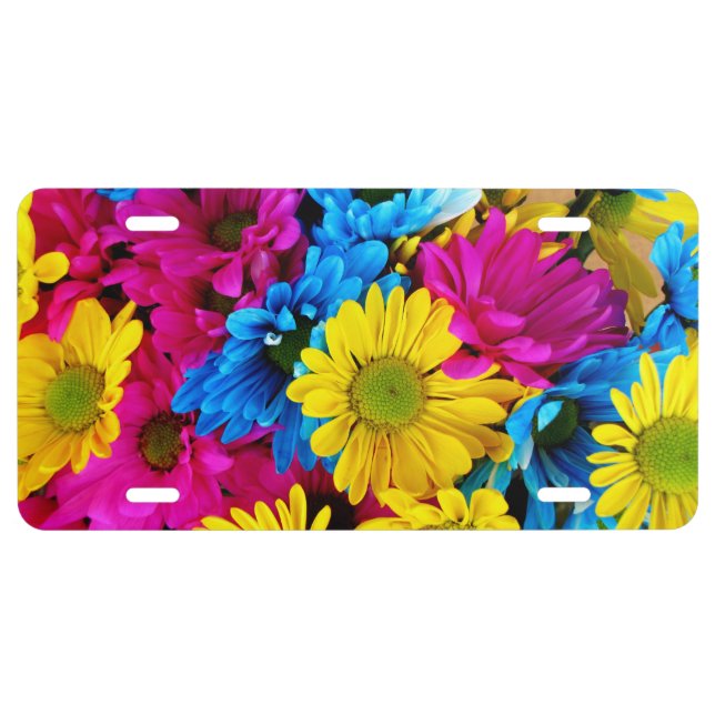Rainbow of Daisies License Plate (Front)