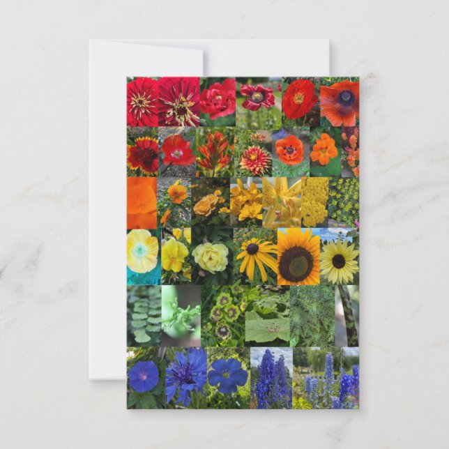 Rainbow of Flowers  Note Card (Front)