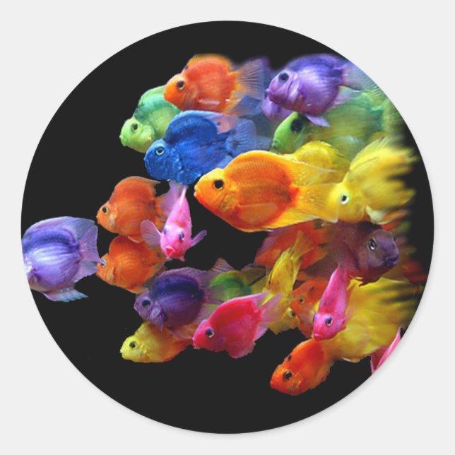 Rainbow of Parrotfish Classic Round Sticker (Front)
