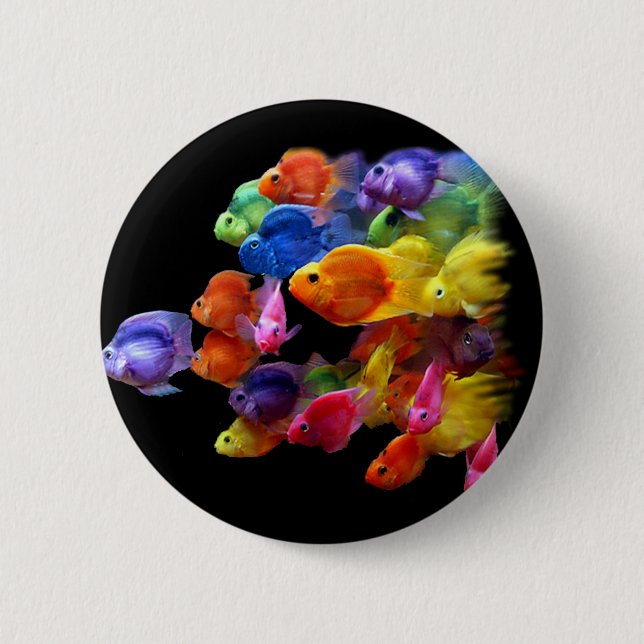 Rainbow of Parrotfish Pinback Button (Front)