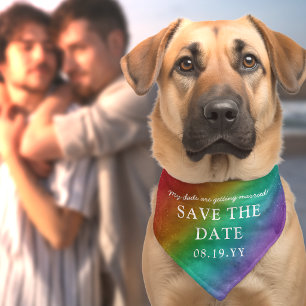 Rainbow Ombre Gay Wedding Save the Date Pet Bandana Collar