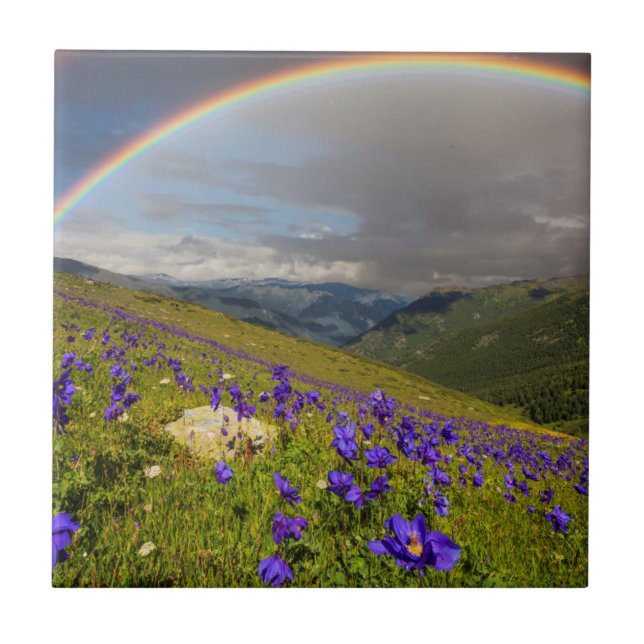 Rainbow Over A Flowering Meadow Ceramic Tile (Front)