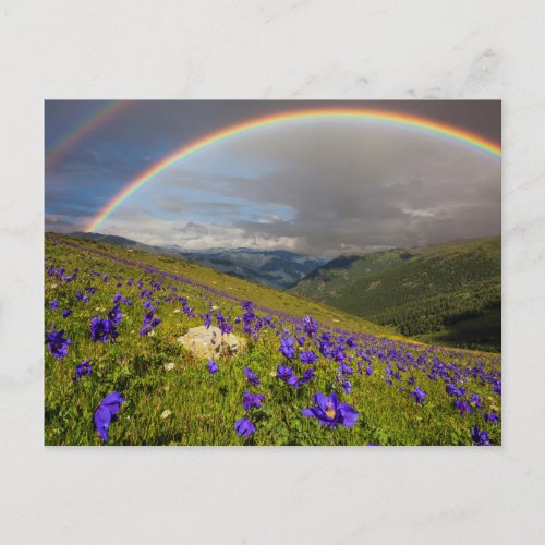 Rainbow Over A Flowering Meadow Postcard