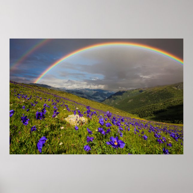 Rainbow Over A Flowering Meadow Poster (Front)