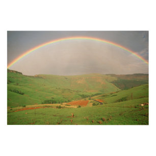 Rainbow Over Hills, Eastern Cape, South Africa Wood Wall Art