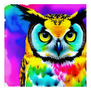 Rainbow Owl Acrylic Wall Art