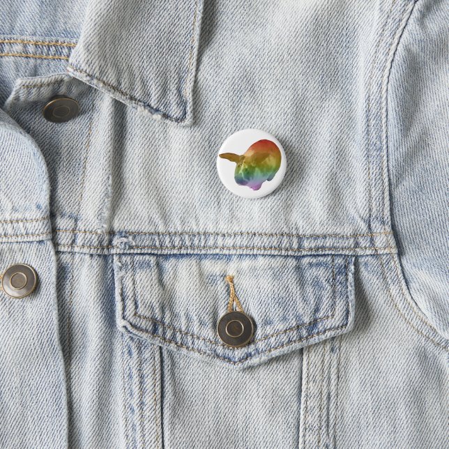 Rainbow Paddy Badge Button (In Situ)