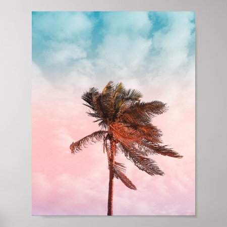 Rainbow Palm Tree Beach Photo Poster