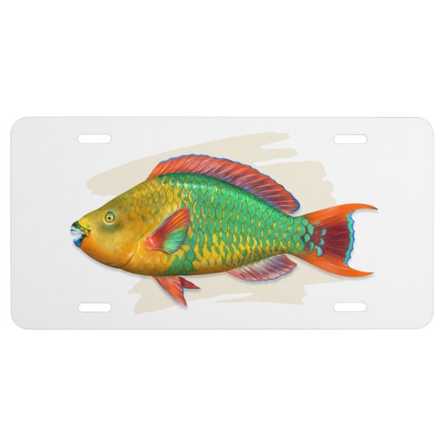 Rainbow Parrotfish License Plate (Front)