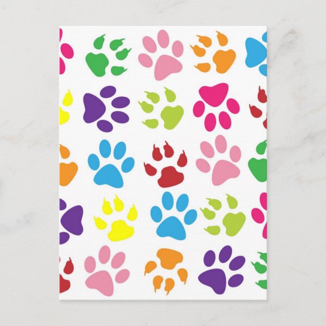 RAINBOW PAW PRINTS POSTCARD (Front)