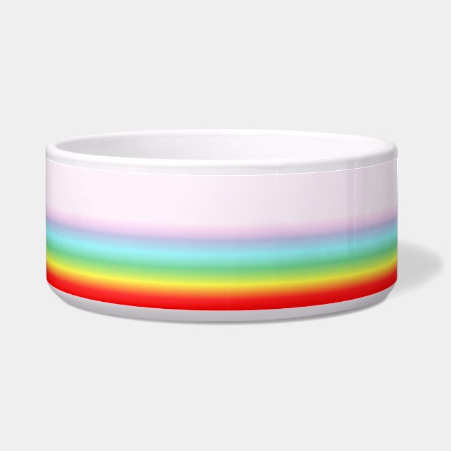 Rainbow Pet Bowl, Large  Bowl (Right)
