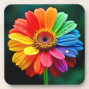 Rainbow Petal Flower Art Beverage Coaster