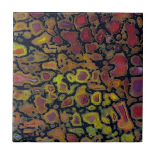 Rainbow Petrified Dinosaur Bone Ceramic Tile