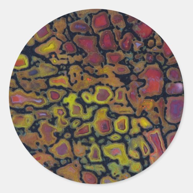 Rainbow Petrified Dinosaur Bone Classic Round Sticker (Front)