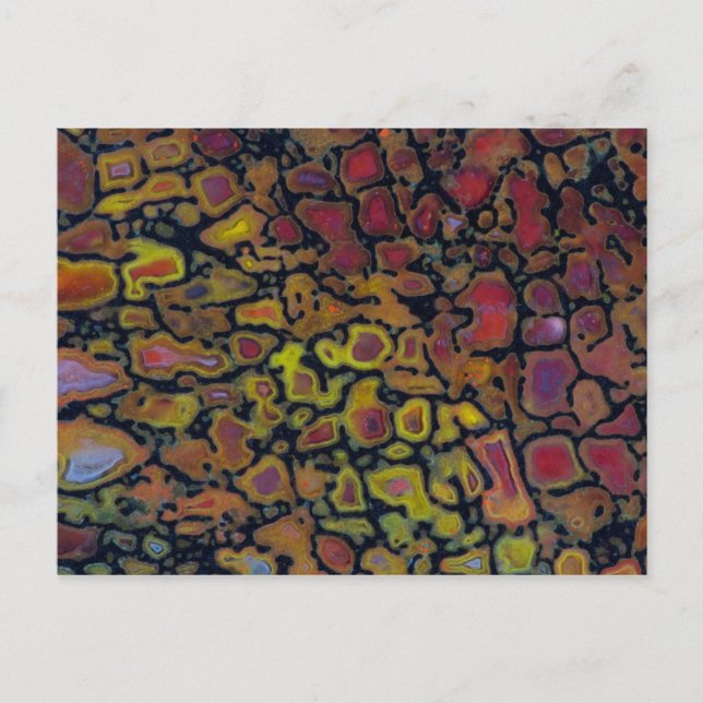 Rainbow Petrified Dinosaur Bone Postcard (Front)