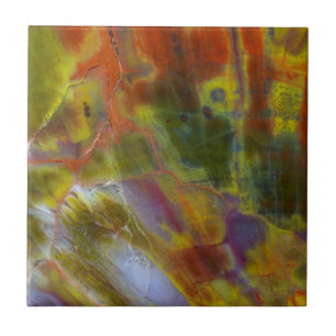 Rainbow Petrified Wood Ceramic Tile