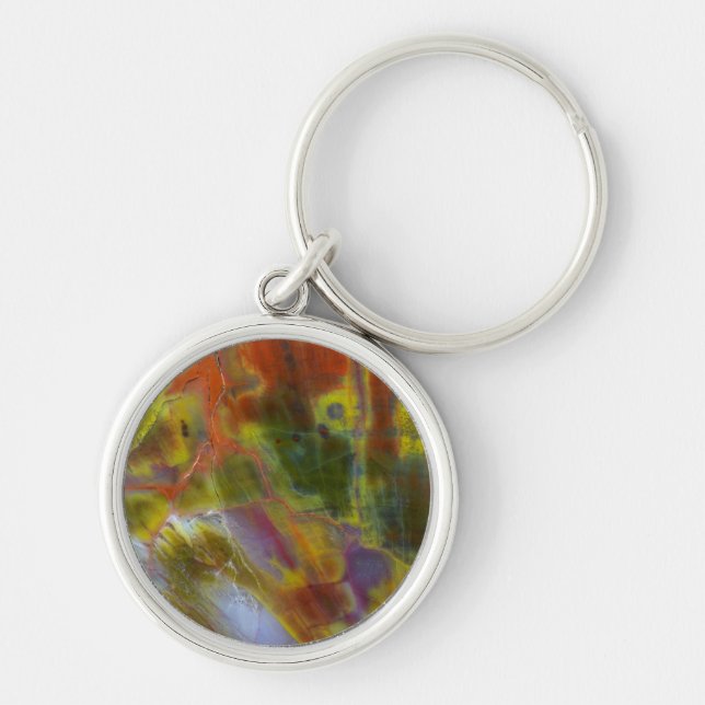 Rainbow Petrified Wood Keychain (Front)