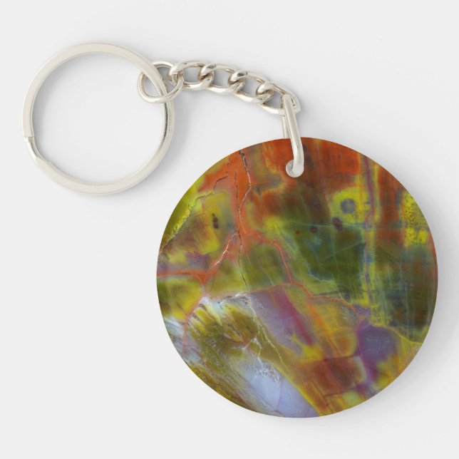Rainbow Petrified Wood Keychain (Front)