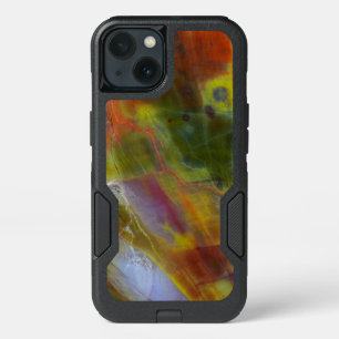 Rainbow Petrified Wood iPhone 13 Case
