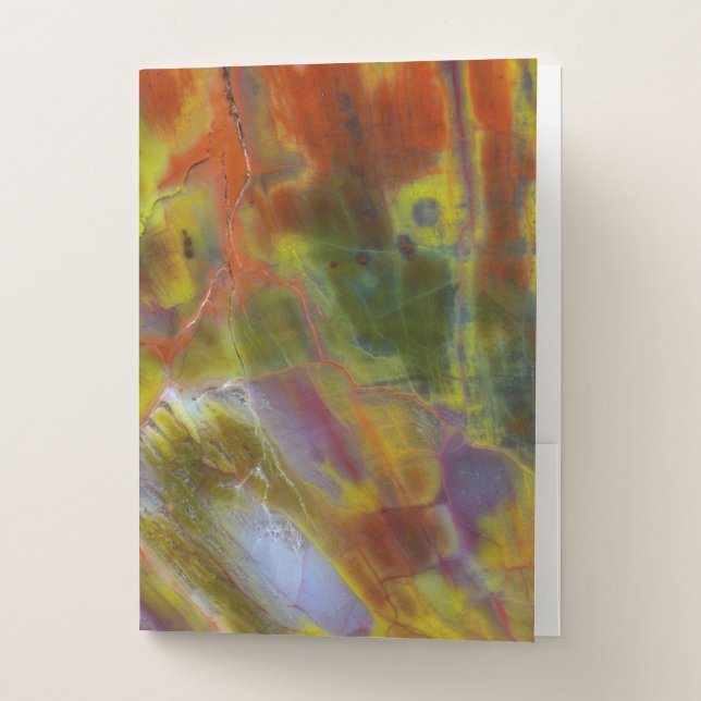Rainbow Petrified Wood Pocket Folder (Front)