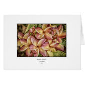 Rainbow Plumeria Blank Card (Front Horizontal)