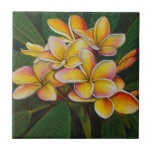 Rainbow Plumeria Ceramic Tile<br><div class="desc">Beautiful cluster of rainbow plumeria</div>