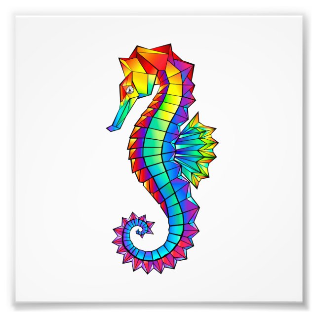 Rainbow Polygonal Seahorse Photo Print (Front)