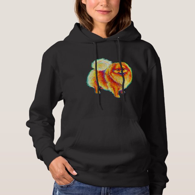 Rainbow Pomeranian Hoodie (Front)